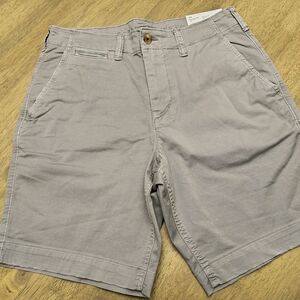 American Eagle Outfitters Light Gray Flat Front Shorts